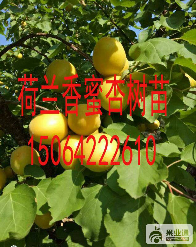 154339a1zdck0d3dv4vuk0.jpg