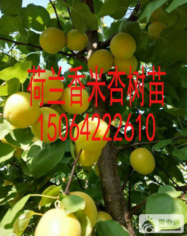 154340pjzj5qzjdpw1hhdd.jpg