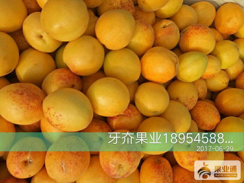 054334nf25oc9yzuaxjjyn.jpg