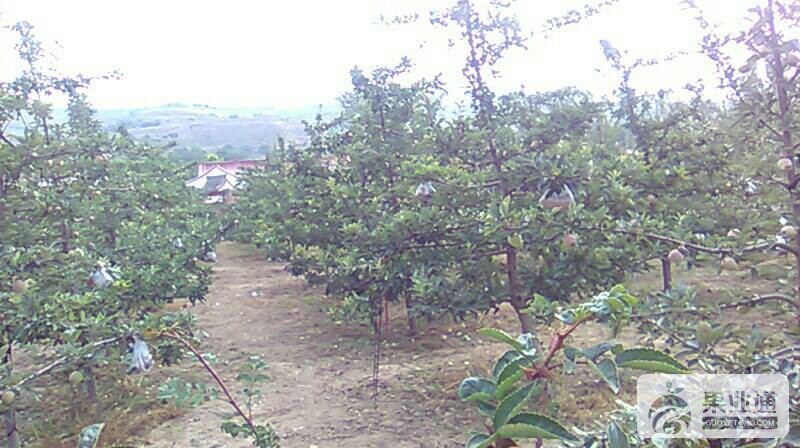 112449y221nri7cipy2cjy.jpg