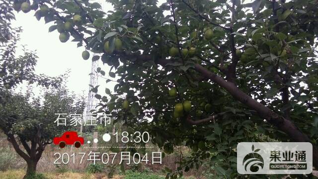 153551kp05pxo8p4up6emy.jpg