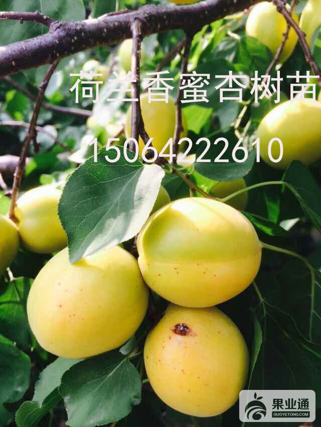 微信图片_20170710142801.jpg