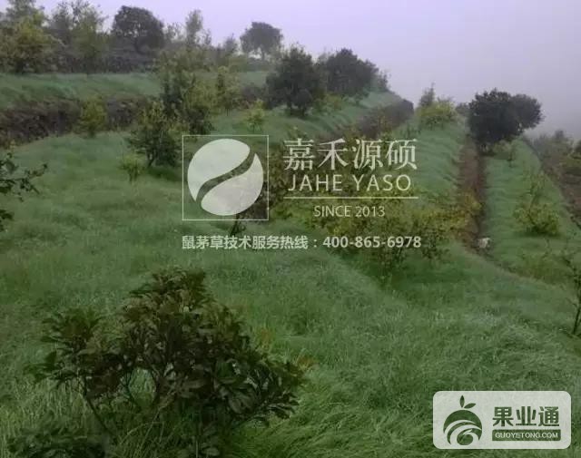 微信图片_20170711094417.jpg