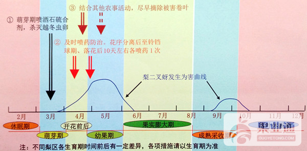 图片11.png
