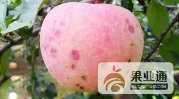 640.webp (27).jpg