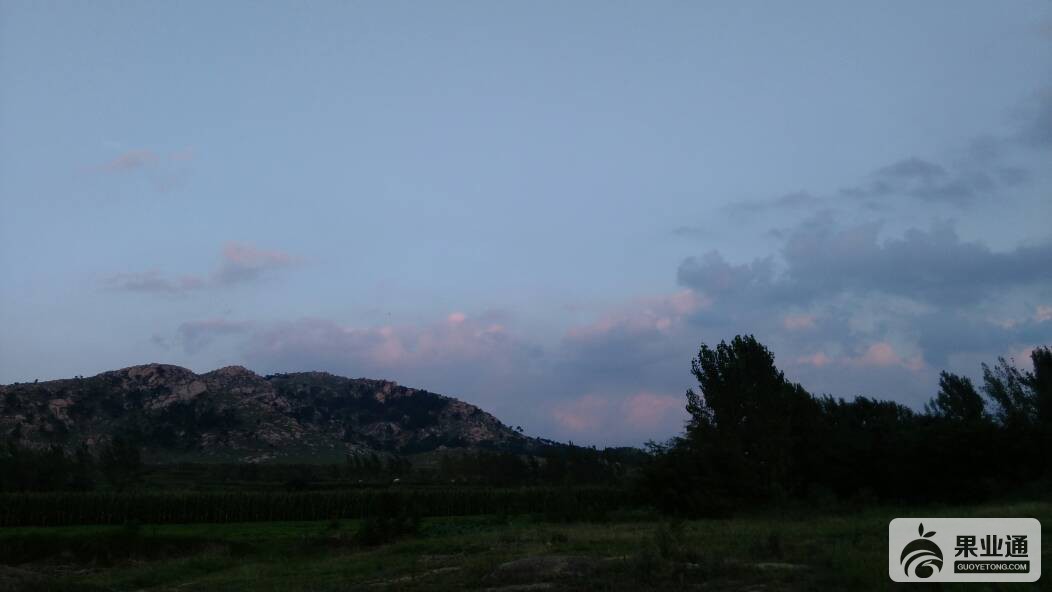 210428w1yq553y119v10ez.jpg