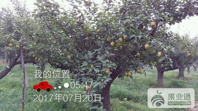 200359y91t0egmec0ext66.jpg