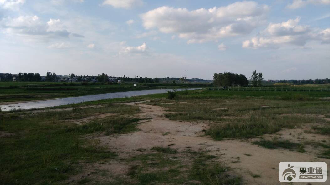 171532p6p444kws30c6y4d.jpg