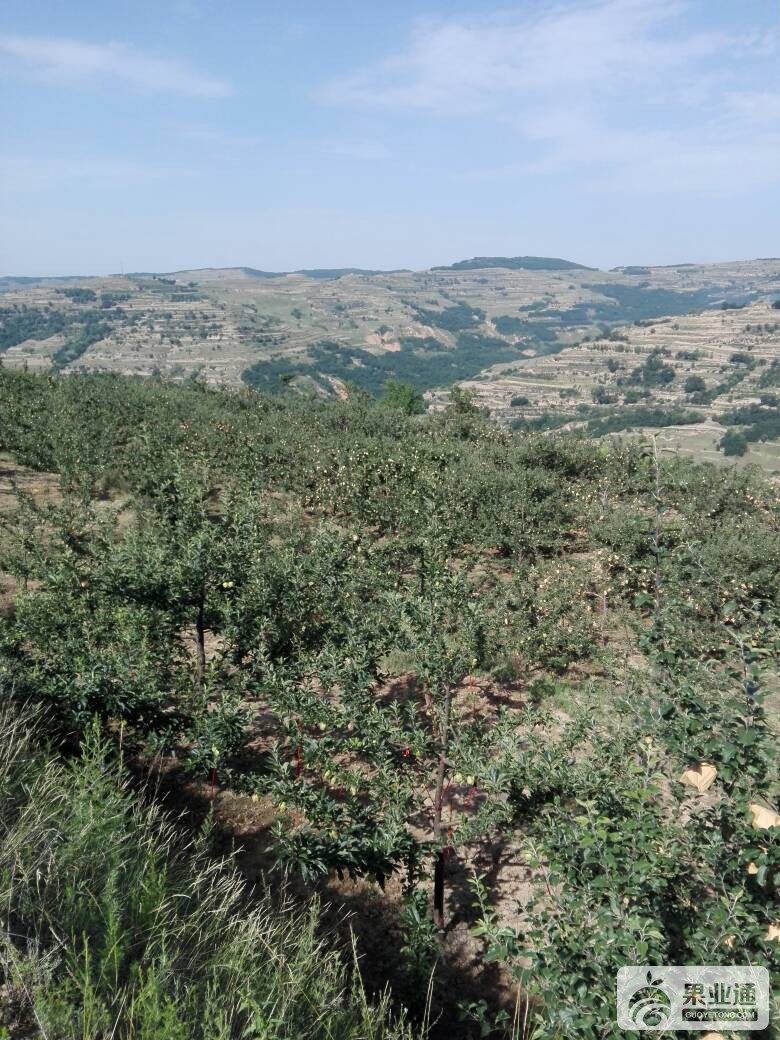 182959x7kw3vgzmvy7iwvl.jpg