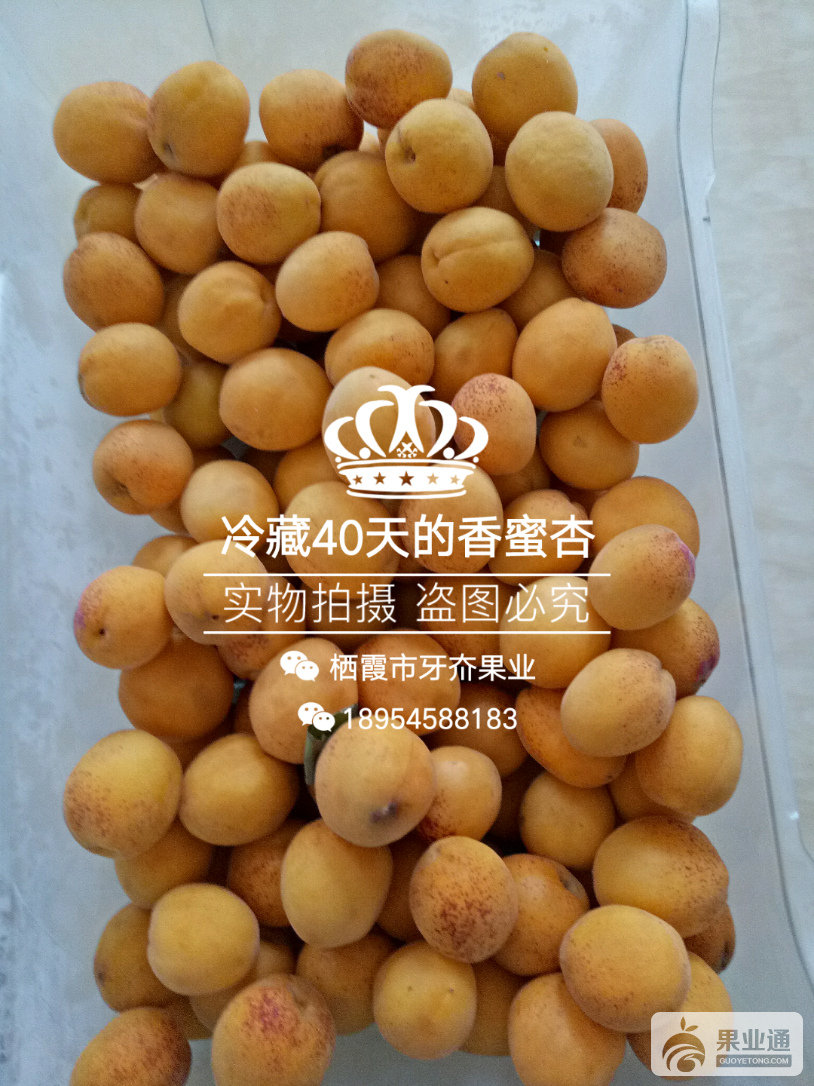 wsManager_1501160363469.png