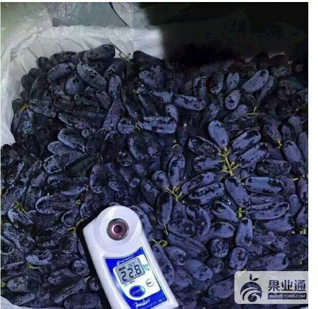 141413oz1c3g810ndgc8dd.jpg