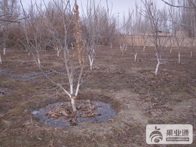 20131126151448253.jpg