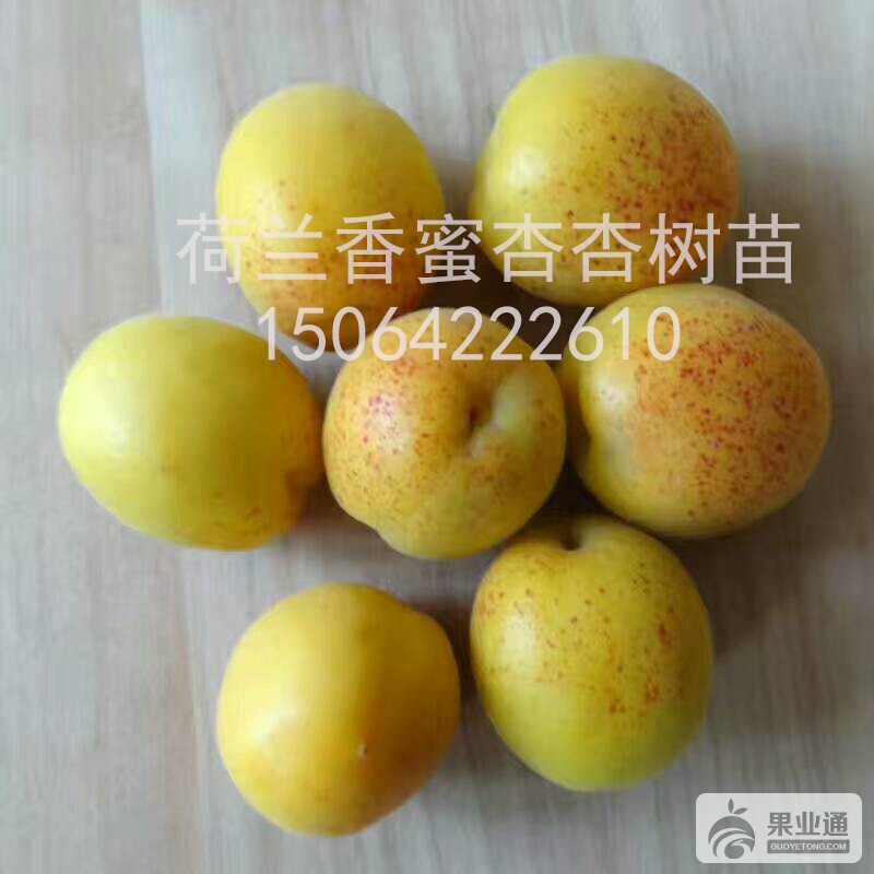 微信图片_201706261558107.jpg