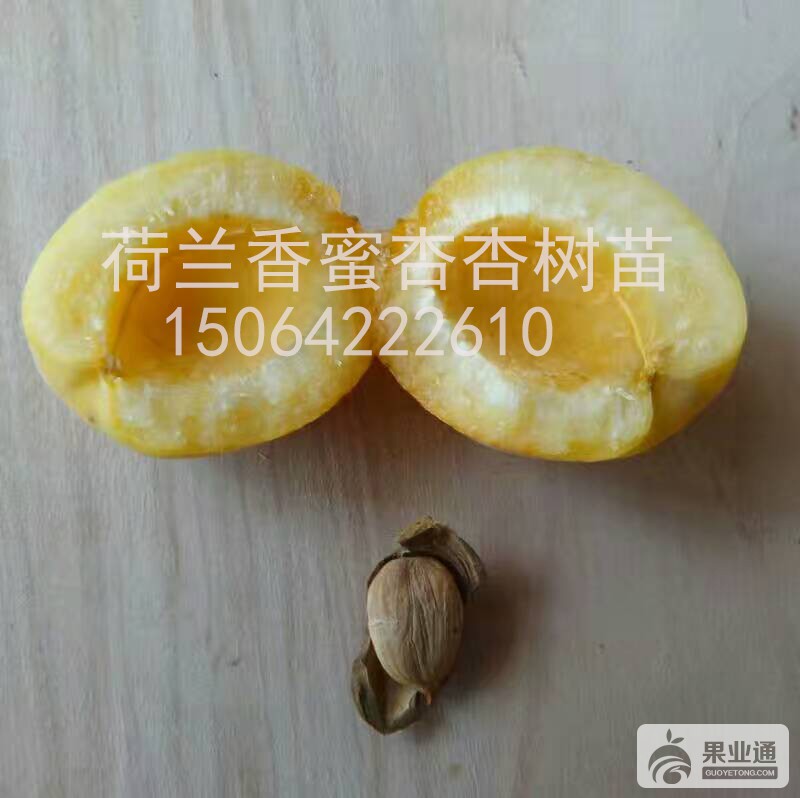 微信图片_201706261155801.jpg