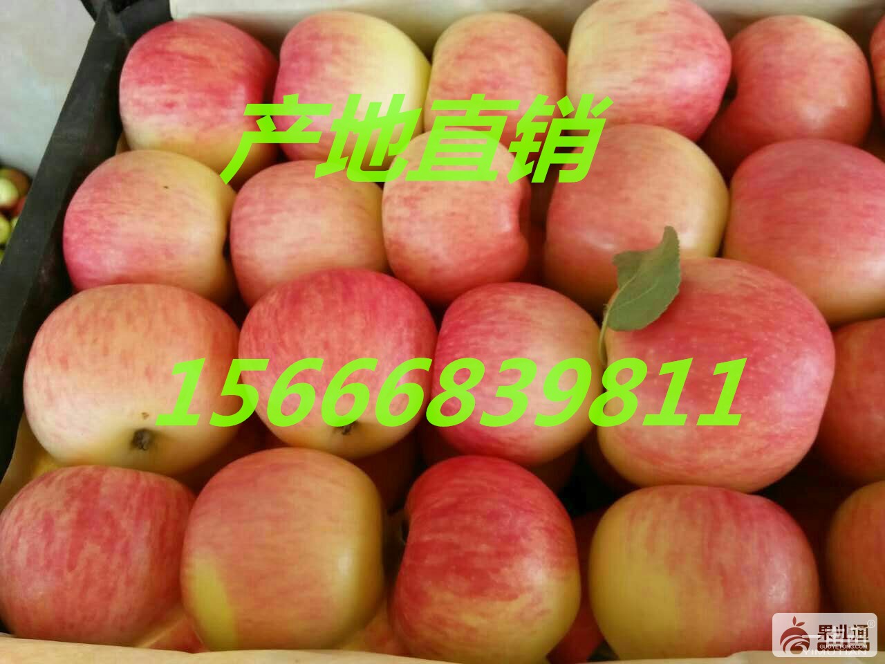 2d38465529de4212b3c7876b774f6164_看图王.jpeg