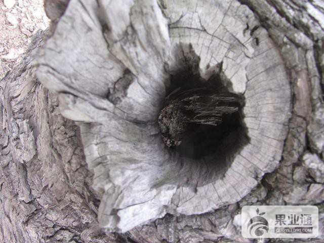 201609061548334854.jpg