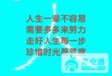 122807gfo4fyym3s4obwyd.jpg