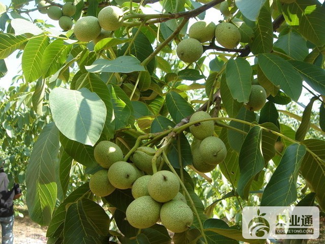t013ddf25befa9aef86.jpg
