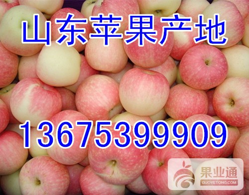 嘎啦苹果136-09.jpg