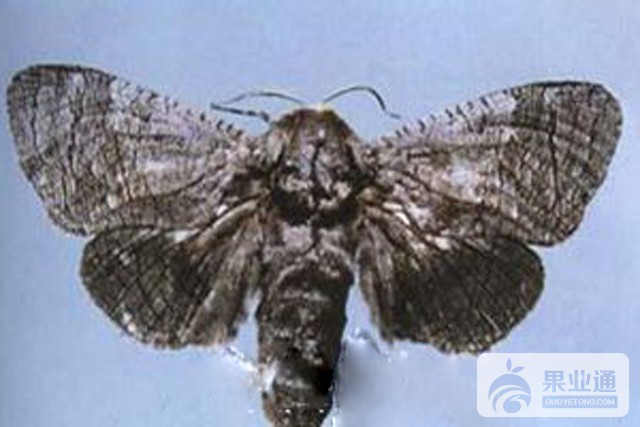 20131122151027.jpg