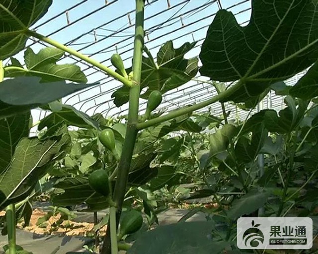 1-150613112430J0.jpg