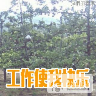 232030t5zoozwz41w4vl34.gif