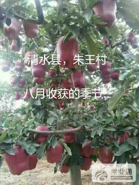 173538n7npy89smvt3ymoi.jpg