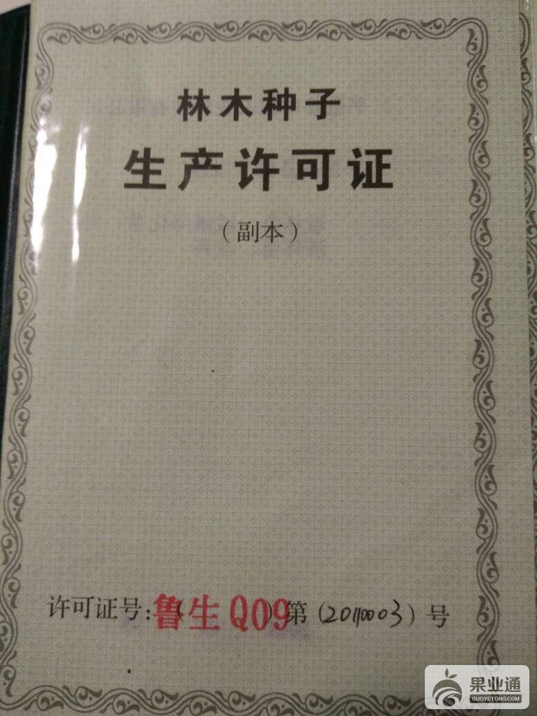 093721s967d3dm976hldlh.jpg