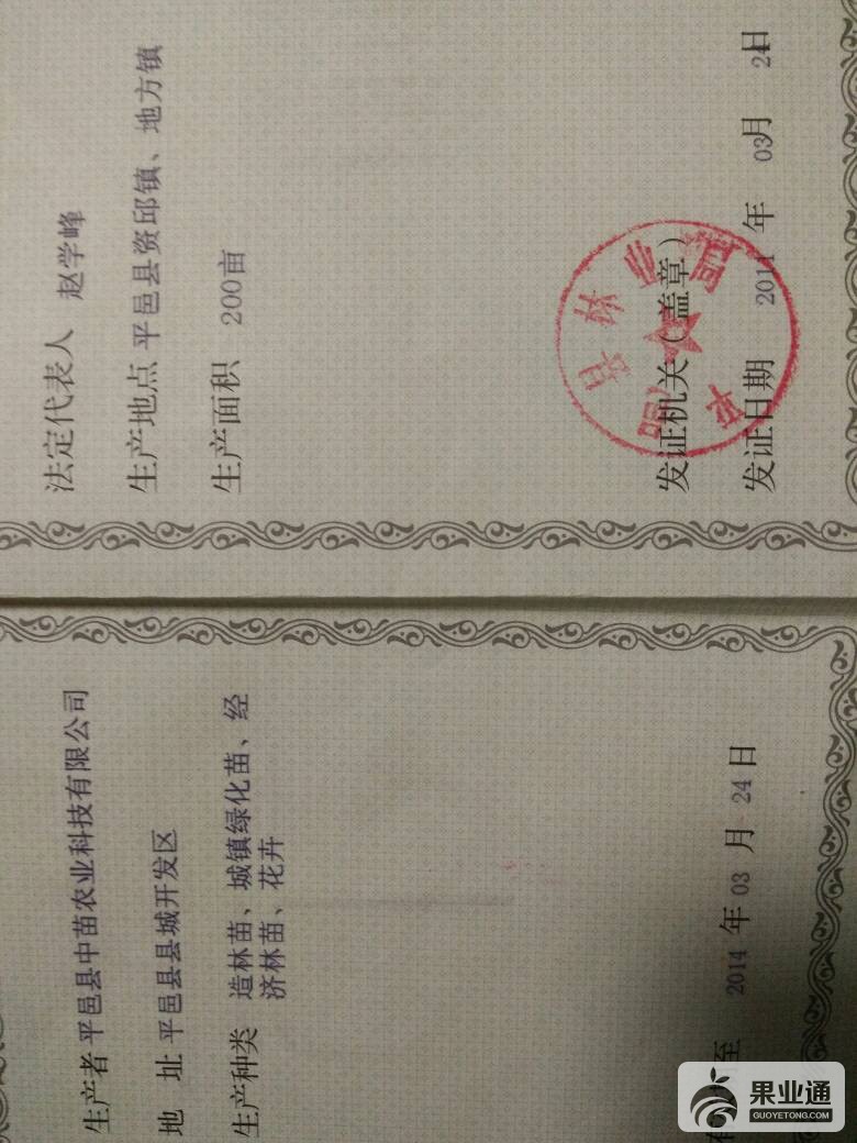 093723ocoz76cmkx1mcx5y.jpg