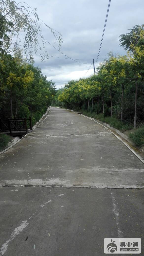 074954r7paa24t2777hblp.jpg