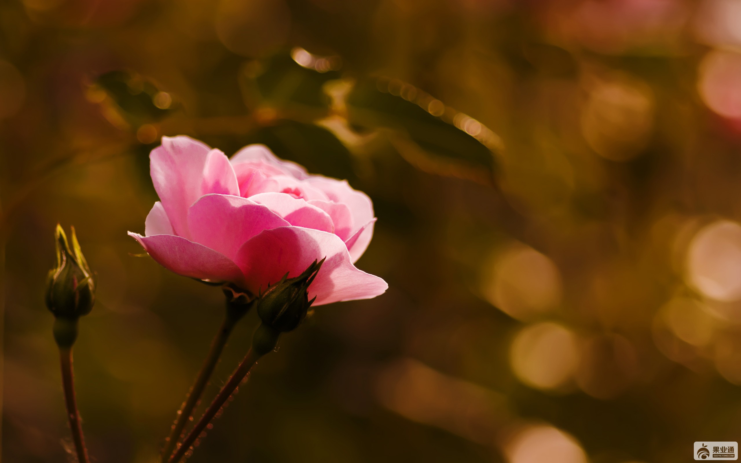 f259c09a2c51ee779149011dd0bf04ef.jpg