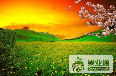 t0134895ef2f5b1b2c6.jpg