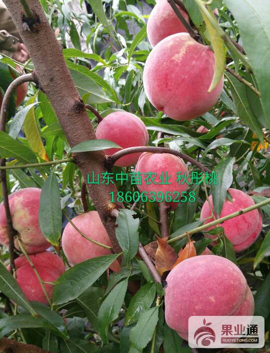 213252upg5u45mamg675gc.jpg