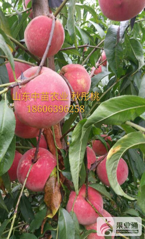 213254lvvbav5bgkbxug1u.jpg