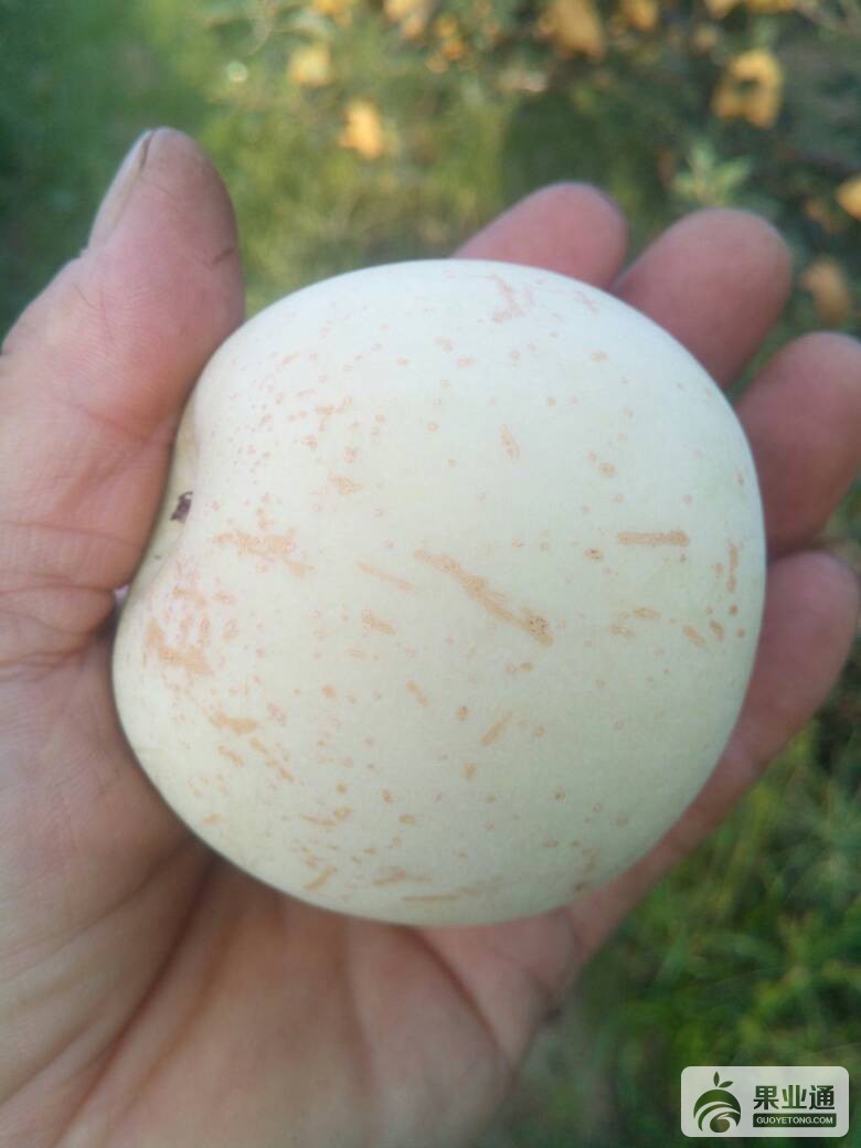 060417qjcpo3oohogz5uxo.jpg