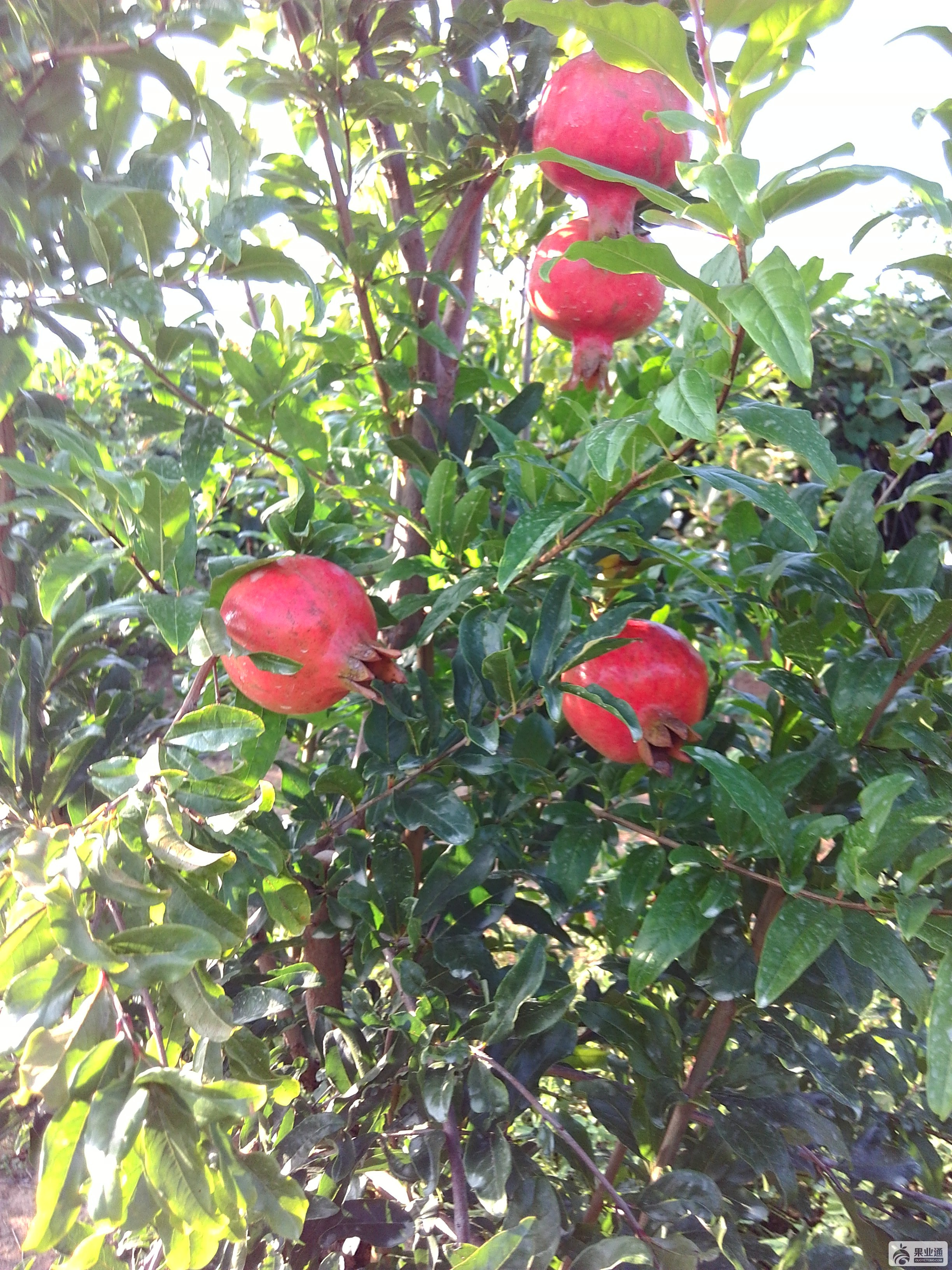 IMG_20170831_165803.jpg