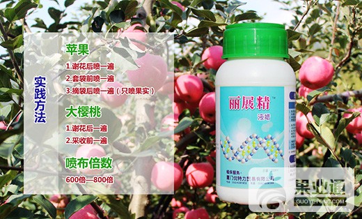 lizhanjing2 (1).jpg