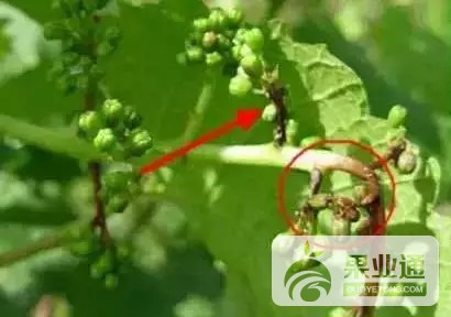640.webp (10).jpg