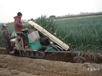 2c6b0004bd0946d609e6.gif