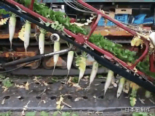2c6b0004bd68f1280515.gif