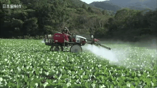 2c6b0004bd6ac1261ef5.gif