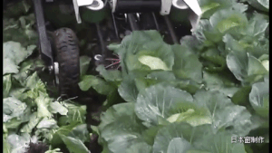 2c630004a9b0d34010ae.gif