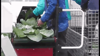 2c6200115f53b5b733c4.gif