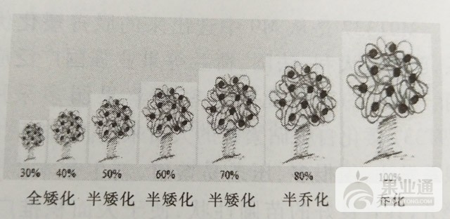 1504774079060.jpg