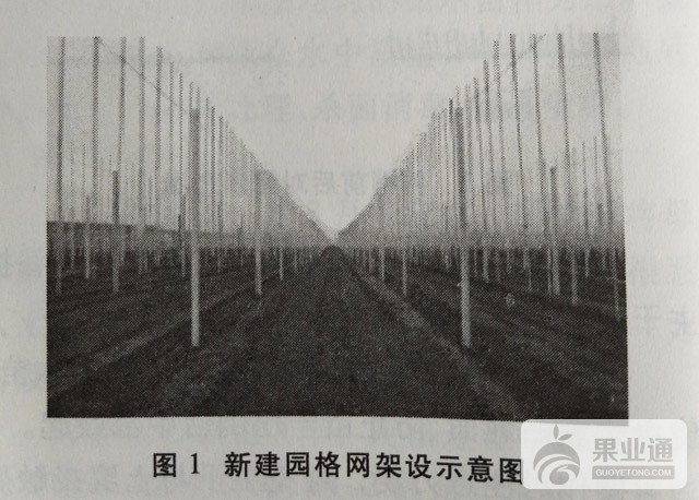 1504858962026.jpg