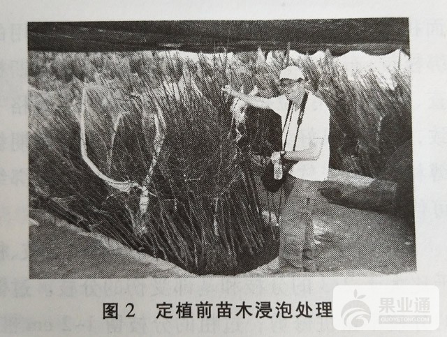 1504859442032.jpg