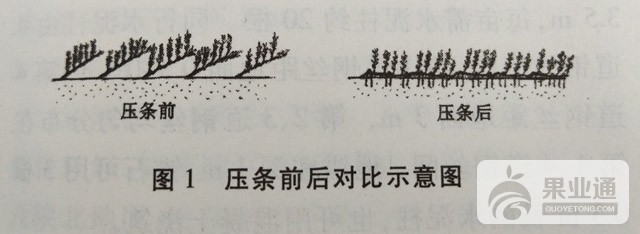 1504837792212.jpg