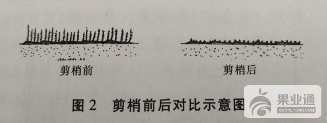 1504837812150.jpg