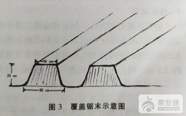 1504940332628.jpg