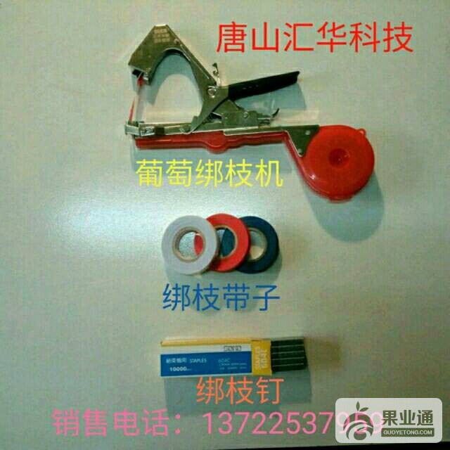 212916v8hqrxbbwt6y65fs.jpg